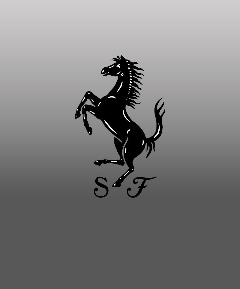 Men’s Ferrari